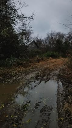 a muddy road with puddles in the middle and trees on both sides near an abandoned house