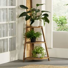 a wooden shelf with plants on it in front of a window and a potted plant