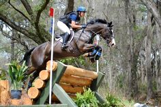 a person riding on the back of a brown horse jumping over a wooden log obstacle