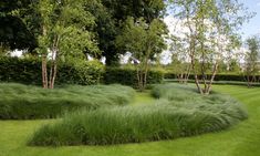 a lush green lawn with trees and bushes in the background, surrounded by tall grass