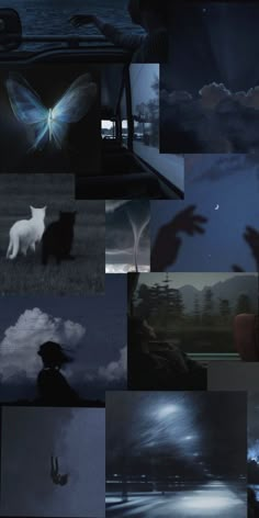 a collage of images with some animals in the sky and one person flying through the air