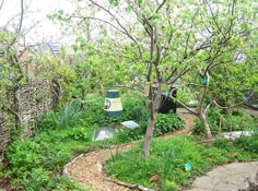 an outdoor garden with trees, rocks and various types of plants in the area around it