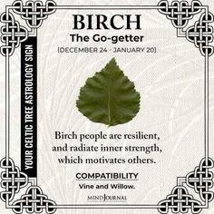 a card with a leaf on it that says birch the go - getter, december 24 - january 20