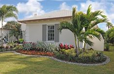 a white house with palm trees and flowers in the front yard