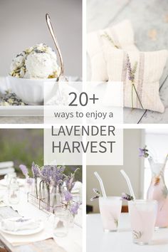 lavender harvest themed party with text overlay that reads 20 ways to enjoy a lavender harvest harvest