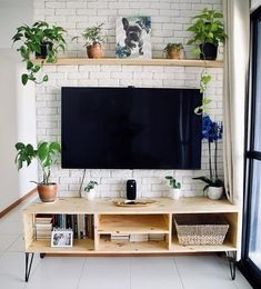 a flat screen tv sitting on top of a wooden shelf next to a plant filled wall