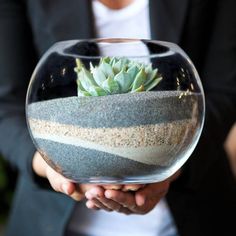 a person holding a glass bowl with a succulent in it and sand inside