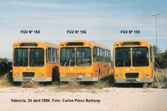 three yellow buses parked next to each other on a dirt road in front of trees