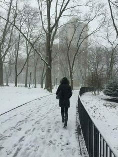 a person walking down a snowy path in the park