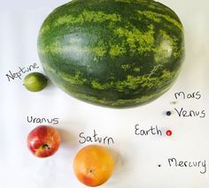 a watermelon, oranges and an apple on a white background with names