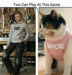 two pictures one with a cat wearing a shirt and the other with a t - shirt that says, two can play at this game