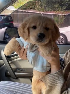 a person holding a small dog in their lap while sitting in the back seat of a car