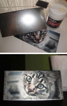 two pictures of a cat with blue eyes