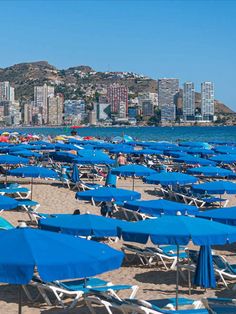 many blue umbrellas and chairs are on the beach in front of some buildings near the water