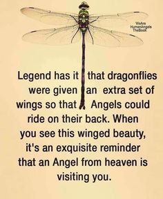 a dragonfly sitting on top of a white wall next to a quote from an angel