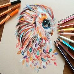 an owl drawing with colored pencils next to it