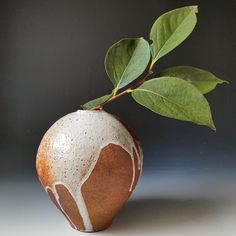 a white and brown vase sitting on top of a table next to a green leafy branch