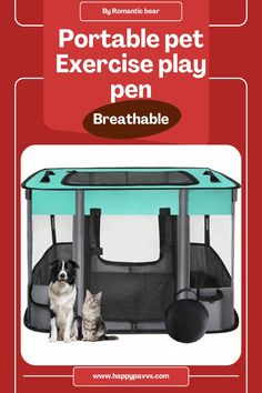 the portable pet exercise play pen has a cat sitting in it and another dog sits next to it