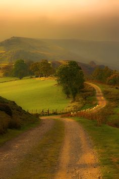 a dirt road going through a lush green field