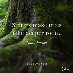 a mossy tree with a quote from dolly parron on it that says, storms make trees take deeper roots