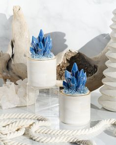 two white vases with blue flowers in them sitting on a table next to rope