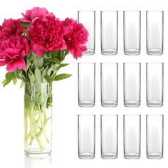 a vase filled with lots of pink flowers next to empty shot glasses on a white background