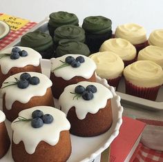 cupcakes with frosting and blueberries are on a plate next to other cupcakes