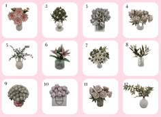 twelve different vases with flowers in them on a pink and white background, each containing the same type of flower