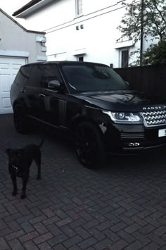 a black suv parked in front of a house with a dog standing next to it