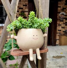 a potted plant sitting on top of a wooden bench