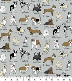 a gray background with dogs and their names