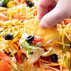 Taco Dip With Cream Cheese, Cream Cheese Taco Dip, Jewish Christmas, Mexican Dip, Salty Recipes, Tahini Dip