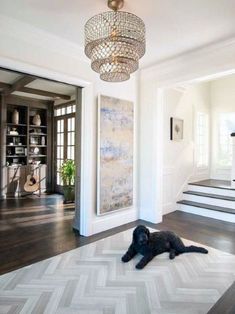 a dog laying on the floor in front of a chandelier