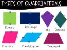 different types of quadrilaterals are shown in this graphic diagram with the corresponding colors