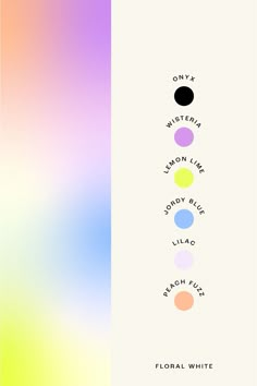 the seven chakras in different colors on a white and blue background with text that reads