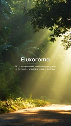 Eluxoroma (n.) – the devotion to positive spiritual growth in the midst of underlying chaos or darkness. Spiritual But Not Religious, Words In Different Languages, Kemetic Spirituality, Beautiful Words In English, Unique Words Definitions, Words That Describe Feelings, Uncommon Words, Fancy Words, Weird Words