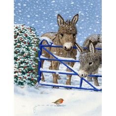 two donkeys are standing in the snow behind a fence with a bird on it