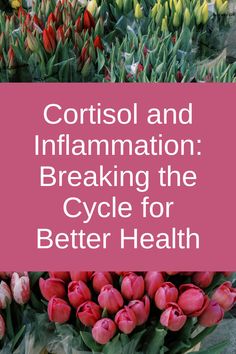 Explore how to master hormone balance and manage cortisol imbalance for better health. Discover tips on cortisol a detox plan and cortisol reduction plan to regain your energy! Cortisol Detox Diet Plan, Cortisol Detox Diet, Cortisol Reduction Diet, 21 Day Detox, Breaking The Cycle