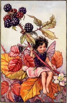 Mary Barker Fairies, Cecily Mary Barker, Fairies And Flowers, Marjolein Bastin, Autumn Fairy