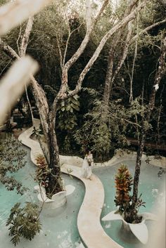 a dog sitting in the middle of a pool surrounded by trees