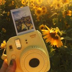 a person holding up a camera with sunflowers in the background