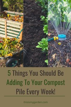 A collage of images with the image on the left of a compost pile, the center image is dark soil and compost, and the image on the right of a compost pile being watered with a sprinkler. From thisismygarden.com. Compost Mulch, Garden Prepping