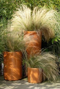 three tall planters sitting next to each other in front of some bushes and trees