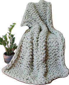 a knitted blanket sitting next to a potted plant