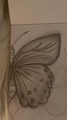 a drawing of a butterfly sitting on top of a piece of paper