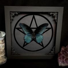 a blue butterfly sitting on top of a black frame next to some rocks and crystals