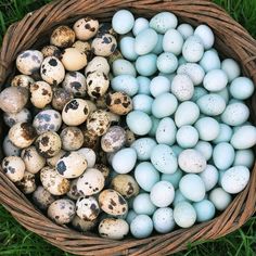 a basket filled with lots of different colored eggs