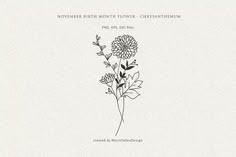 the cover art for november birth month flower chrysanthemum