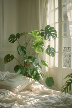 a bed with white sheets and green plants in the window sill next to it