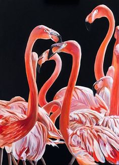 three pink flamingos standing next to each other on a black background with their necks crossed